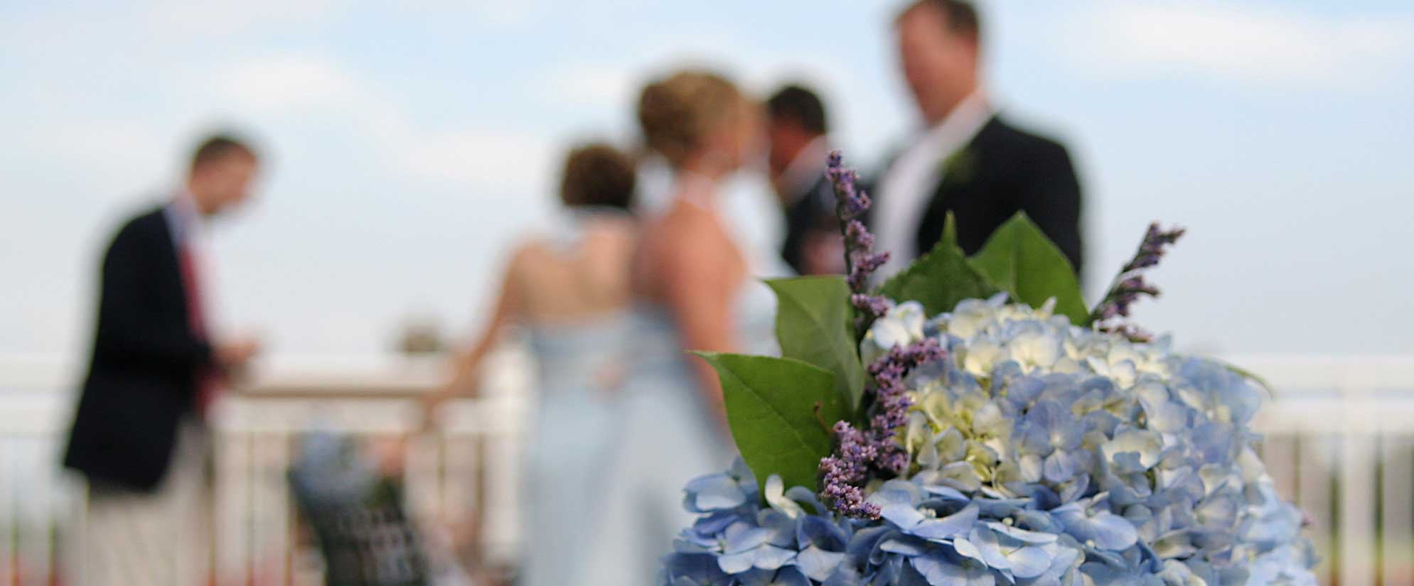 Wedding Menu Starters